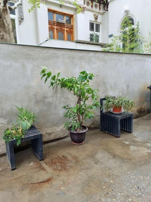 Cozy Apartment Near City Center Bucharest Exterior photo